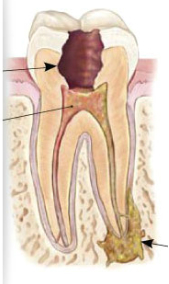 Expert Dental Care